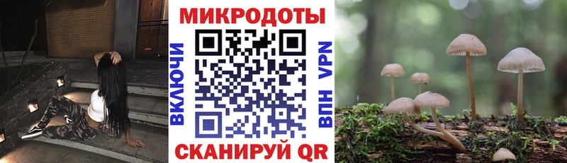 площадка телеграм  Туран  Псилоцибиновые грибы Magic Shrooms 
